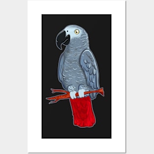 African Grey Parrot Posters and Art